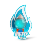 Ароматизатор AVS WDM-008 Fire Fresh (Winter Fresh, Зимняя свежесть) (мембранный)