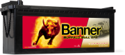 Аккумулятор BANNER Buffalo Bull 240Ач 1200А обратная/п.