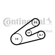 6 PK 1453 Ролик (Contitech)