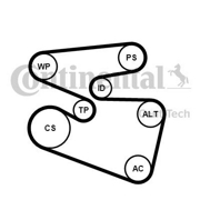 6 PK 1555 Ролик (Contitech)