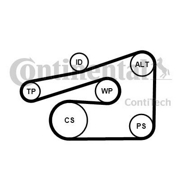 6 PK 1733 Ролик (Contitech)