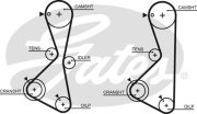 Ремень ГРМ MITSU GALANT 2.0 92-96/L200 2.0 96-/SPACE WAGON 2.0 92-98 (123x29)