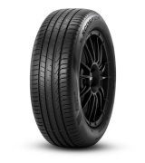 255/45R19 100V Scorpion TL