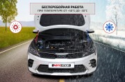 Газовые упоры капота 2 шт.,